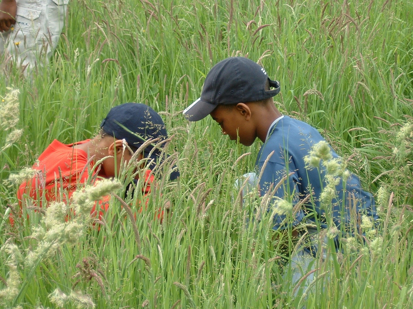 Outdoor Education Advisers' Panel (OEAP) Children sitting on grass outdoors 