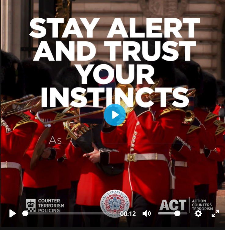 12 second King’s Guard Video  Report online call to action