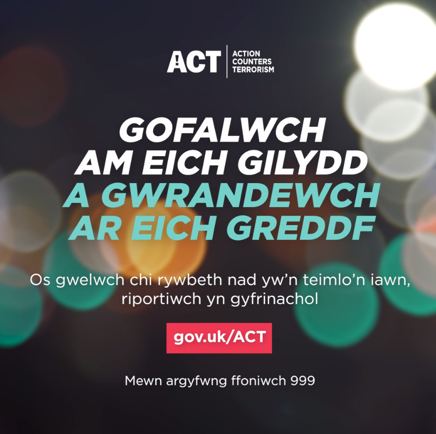 Thumbnail Welsh