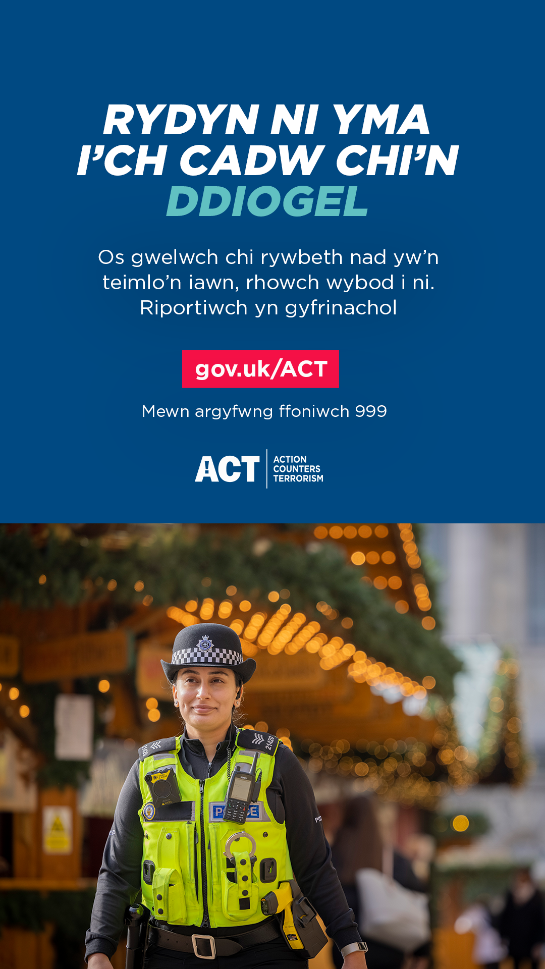 Thumbnail Welsh